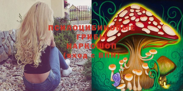 молекула духа Ладушкин