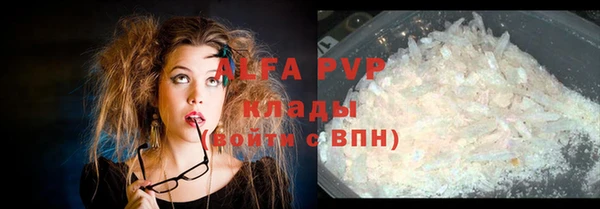 молекула духа Ладушкин