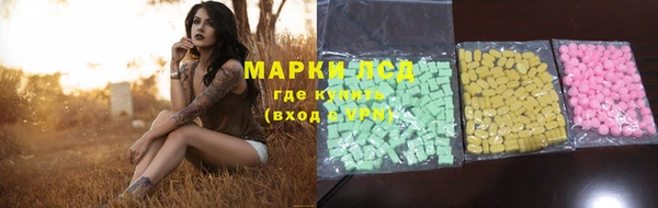 молекула духа Ладушкин