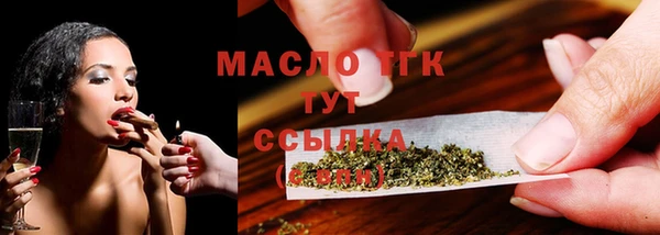 молекула духа Ладушкин