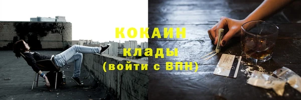 молекула духа Ладушкин
