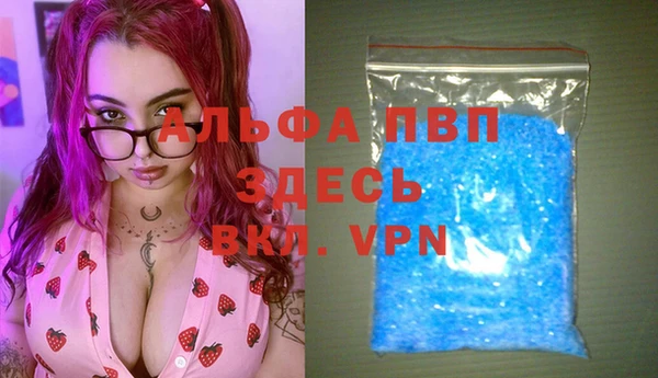 молекула духа Ладушкин
