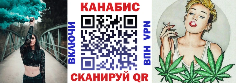 Бошки Шишки план  Купить где  Каменск-Шахтинский 